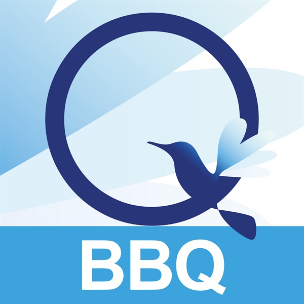 Back Beliefs Questionnaire (BBQ)